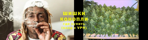 индика Волоколамск