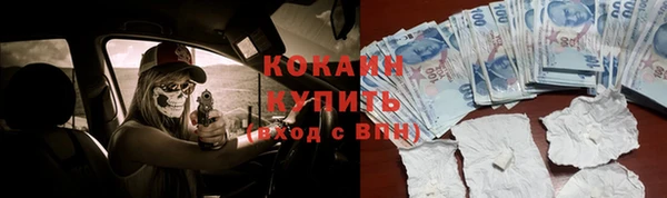 индика Волоколамск