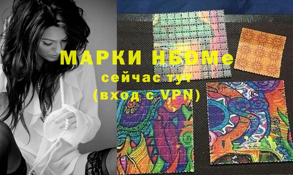 индика Волоколамск
