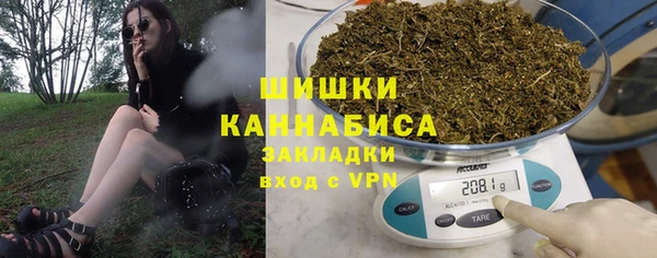 индика Волоколамск