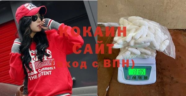 индика Волоколамск