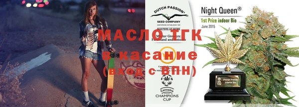 индика Волоколамск