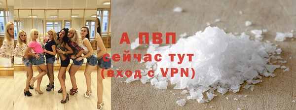 индика Волоколамск