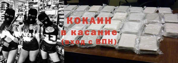 индика Волоколамск