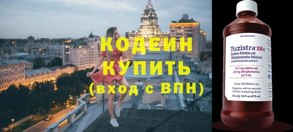 индика Волоколамск